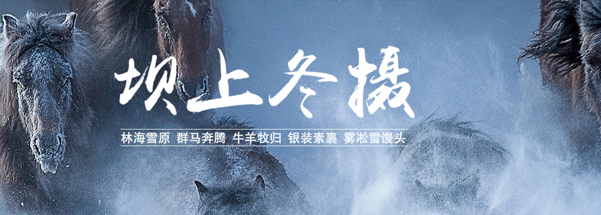 彩虹摄影旅游,1.14-1.19坝上冬季6日采风团 自由泳指导1.12-1.17 坝上冬季6日采风团 自由泳指导