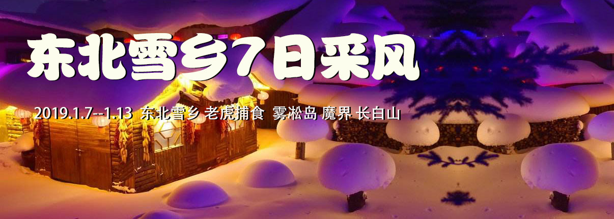 彩虹摄影旅游,1.7-1.13东北雪乡&虎林园&长白山&雾凇岛 7日采风